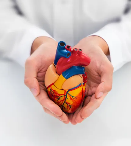 Kardiologiya mərkəzi