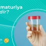 Hematuriya nədir? en