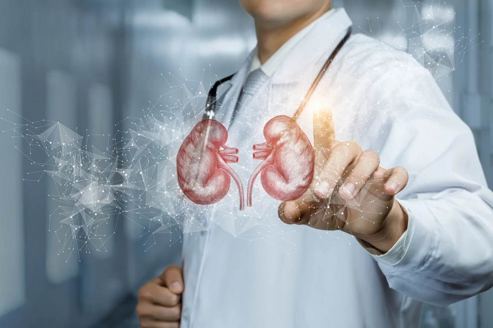 Kidney diseases